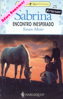 Encontro inesperado de Susan Meier